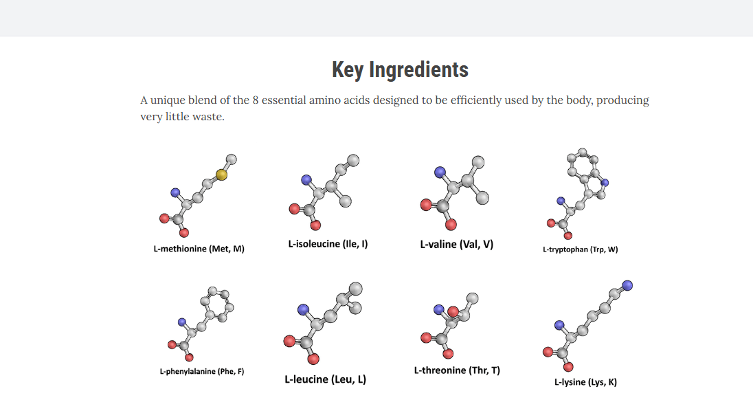 Molecular illustrations of the eight essential amino acids listed by the seller